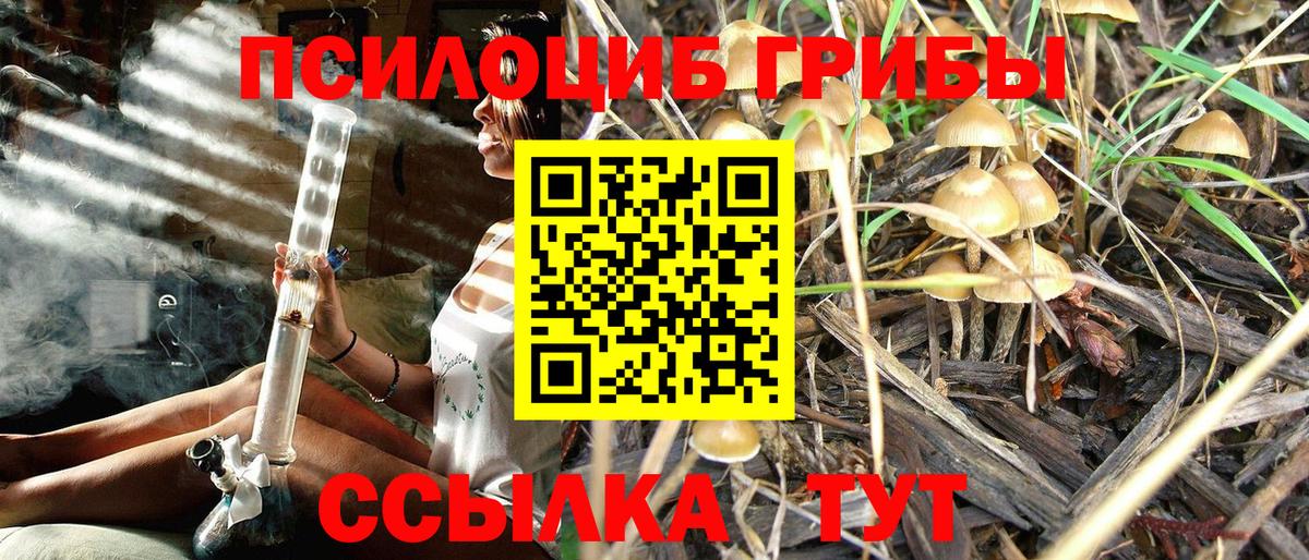 Псилоцибиновые грибы MAGIC MUSHROOMS Александров
